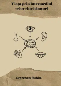 Coperta cărții "Viața prin intermediul celor cinci simțuri" de Gretchen Rubin, prezentând o ilustrație simplificată a celor cinci simțuri – văzul, auzul, mirosul, gustul și atingerea – conectate la creier, pe un fundal bej texturat, simbolizând explorarea conștientă a simțurilor în viața de zi cu zi.